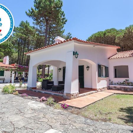 Ocean, Pines And Mountain - Renovated February 2025 - Ac Villa Colares Exterior photo