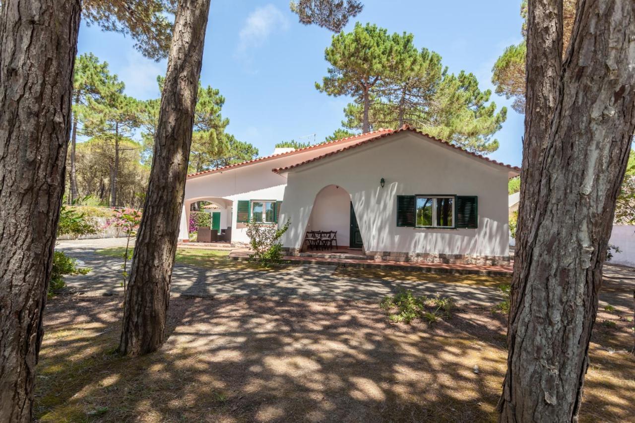 Ocean, Pines And Mountain - Renovated February 2025 - Ac Villa Colares Exterior photo