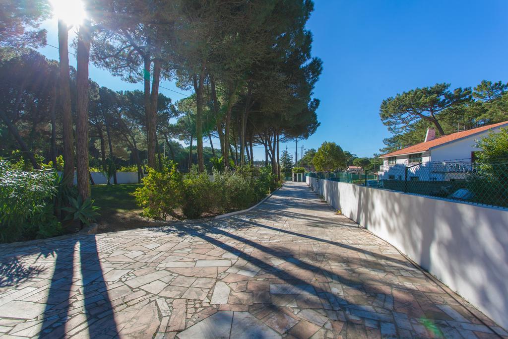 Ocean, Pines And Mountain - Renovated February 2025 - Ac Villa Colares Exterior photo